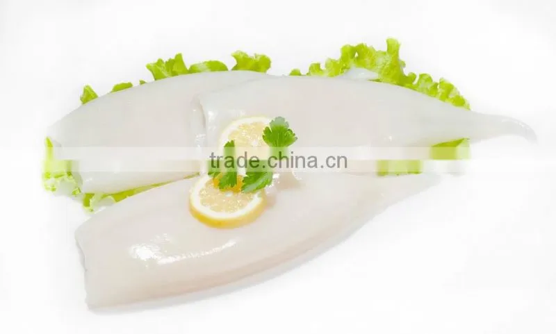 illex frozen squid tube IQF factory