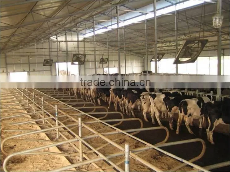 poultry farming equipment for broiler chicken house