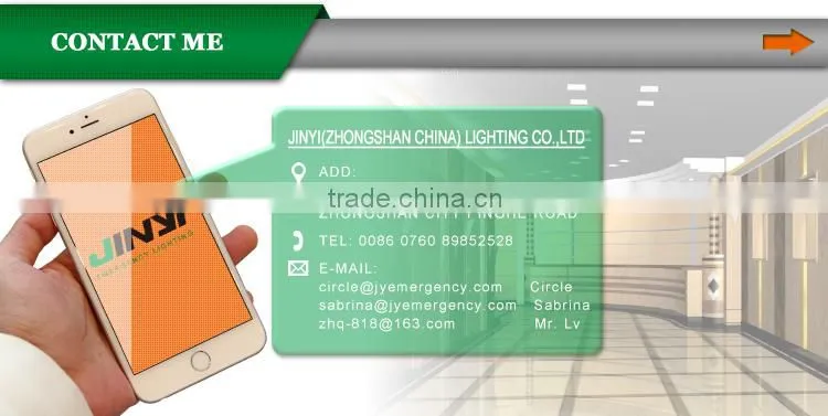 Low price 220V-240V symbol emergency sign