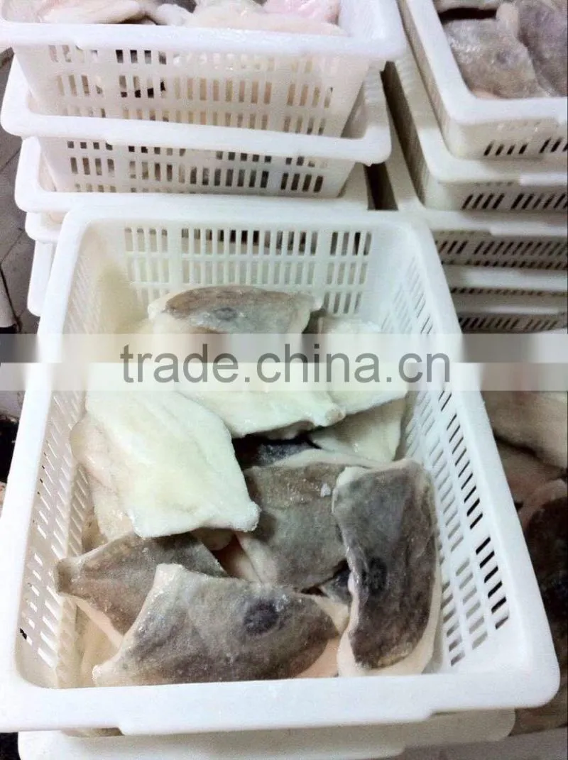Frozen Fish Fillets-John Dory fillet for market