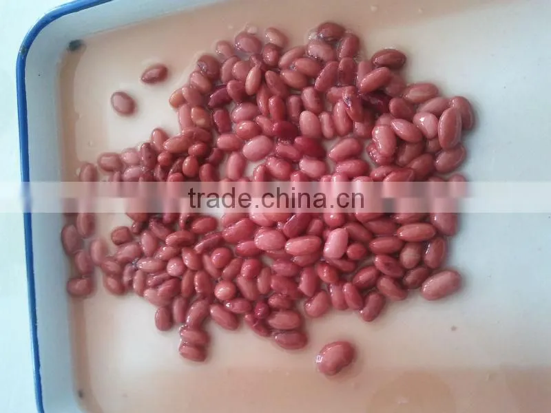 2016 new year production 425g canned red kidney beans in brine