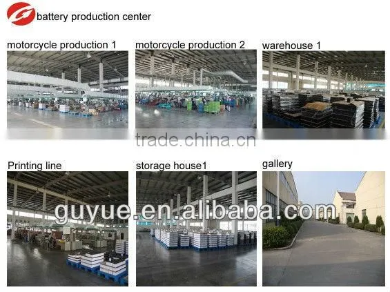 heavy duty motorcycle battery