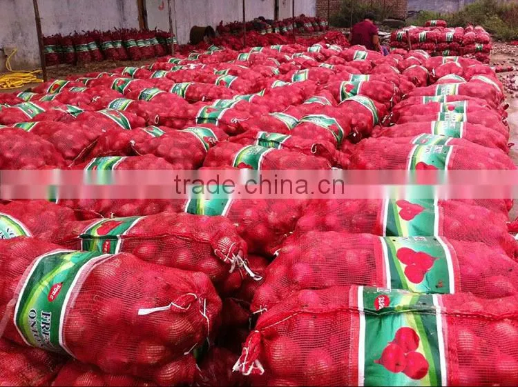 fresh onion on sale in this hot season before new year with high quality and reasonable price