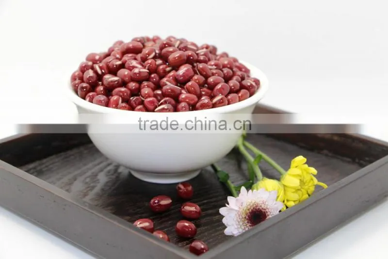 Adzuki Bean