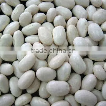 Chinese white kidney beans 180-360pcs/100g