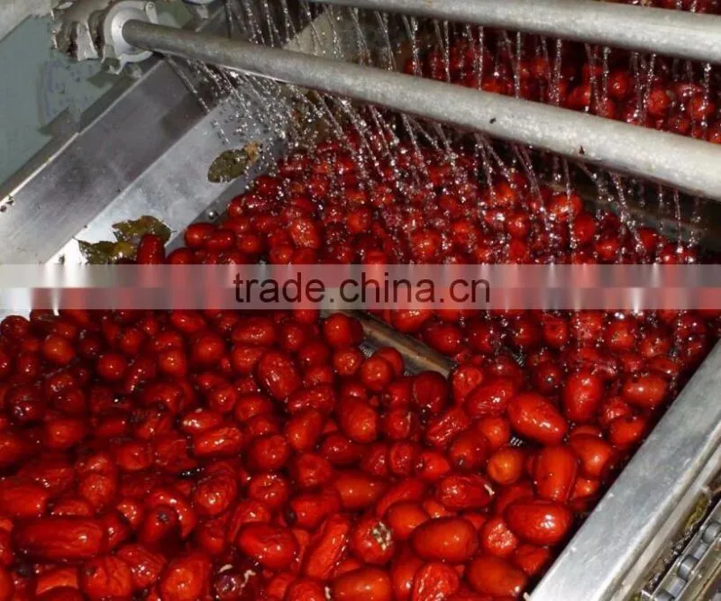 Chinese dried red dates