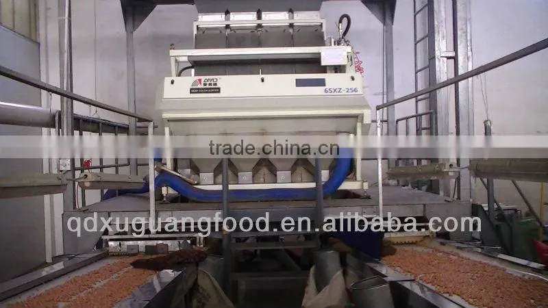 shandong groundnut blanched peanuts