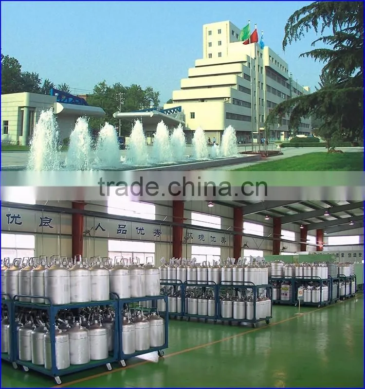 factory supply small capacity liquid nitrogen container with 5 years warranty