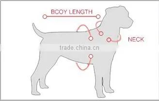 China factory custom print logo nylon dog collar and leash