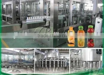 Automatic Pomegranate Juice Filling Machine