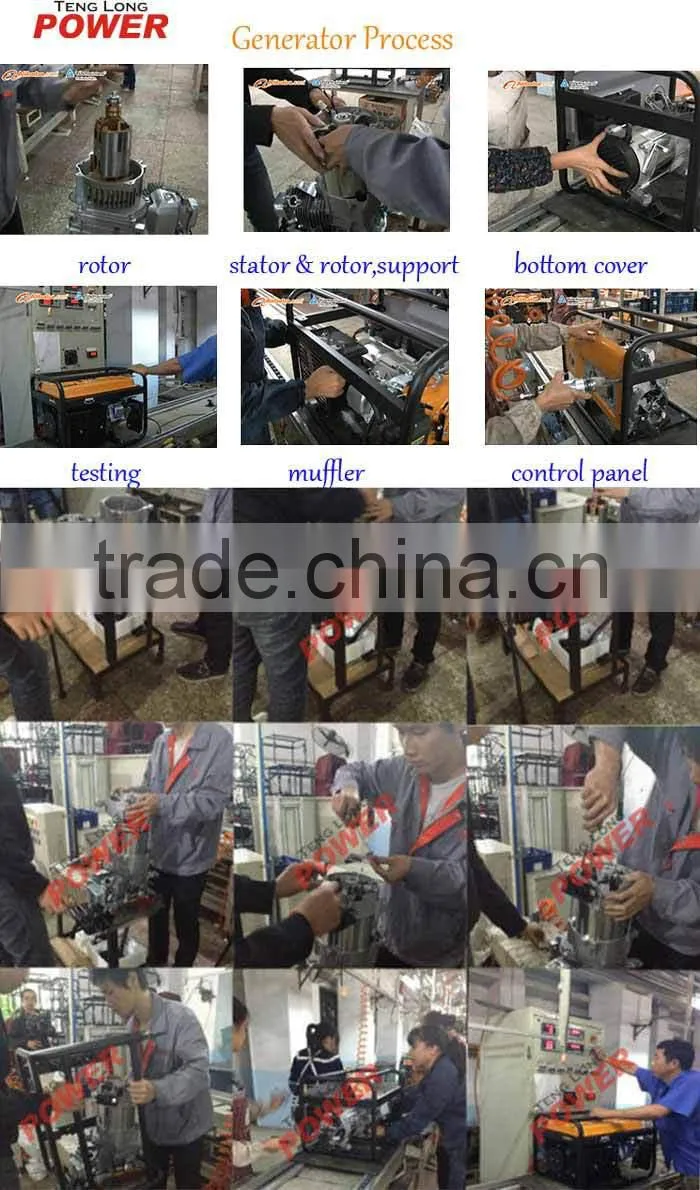 2.8kw Gasoline LPG Power Electric Generator
