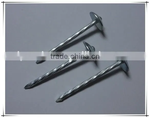 Hot-selling polished common nails / roofing nails / flat head nails
