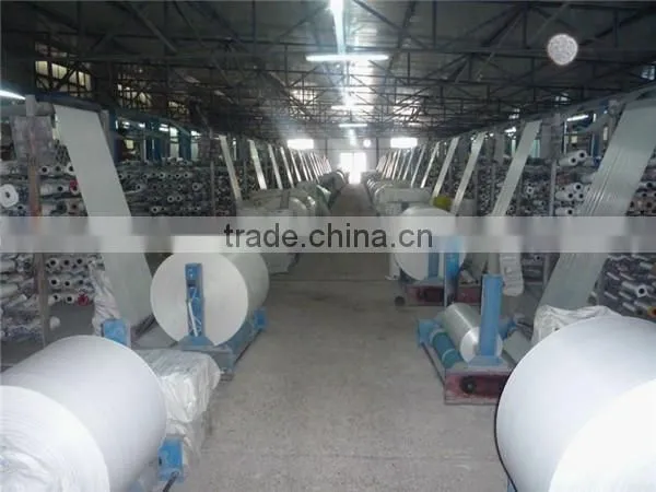 Cheap hopping Plastic Woven Bag with Printing