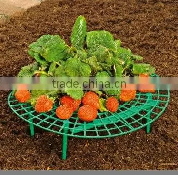 strawberry support ,plant support