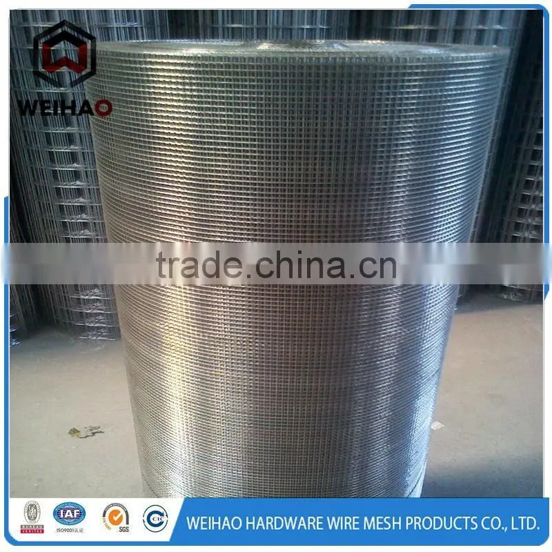 galvanized iron wire grassland fence and baby milk cow