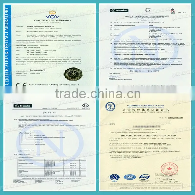Most popular design YPT low voltage vfd motor