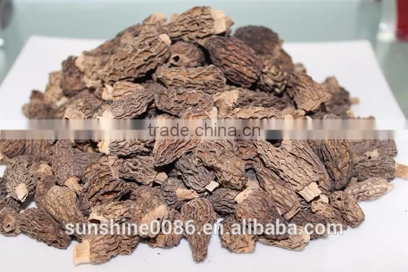 Dried Morel Mushroom Free Shipping and Market Prices for Mushroom