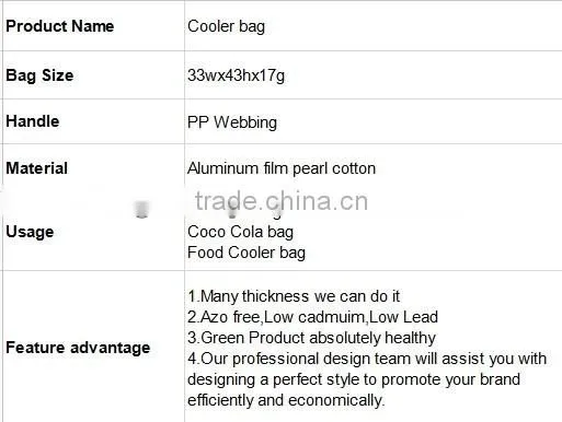 Low price Wholesale Insulated Cooler Bag for Food