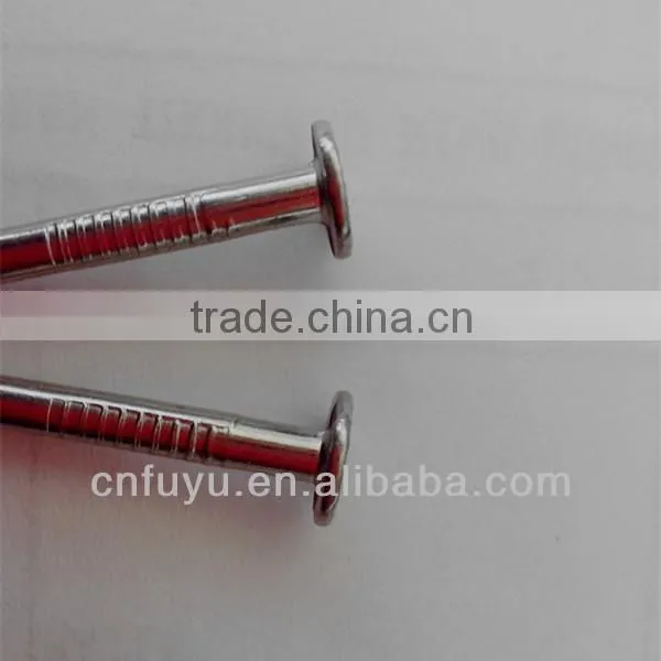 zinc plated clout nail for ceiling factory of linyi shandong