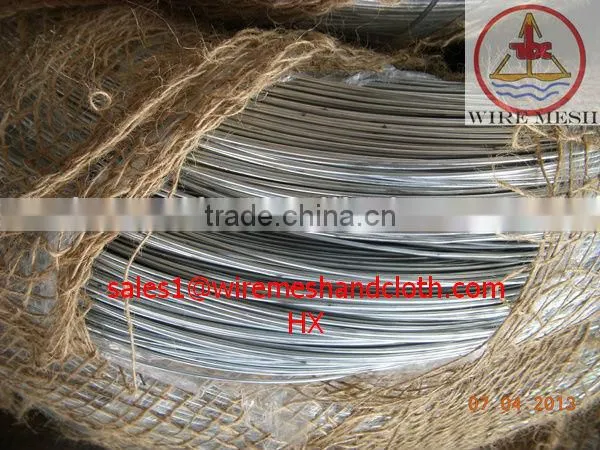 Galvanized wire/electro galvanized iron wire bwg21