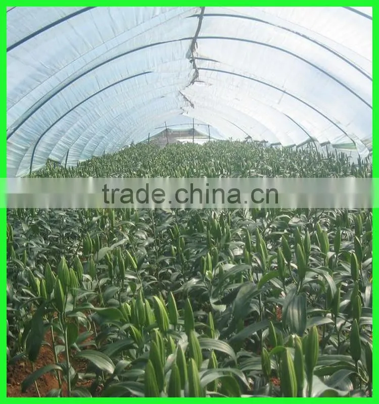 Suntex HDPE anti insect net heat resistant plastic mesh