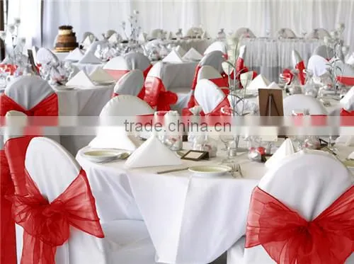 Fancy Transparent Chair Sashes