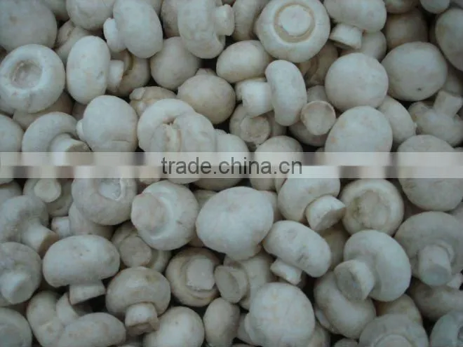 IQF frozen button mushroom