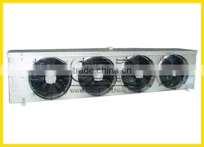 Portable Cold Storage for Vegetable and Fruits