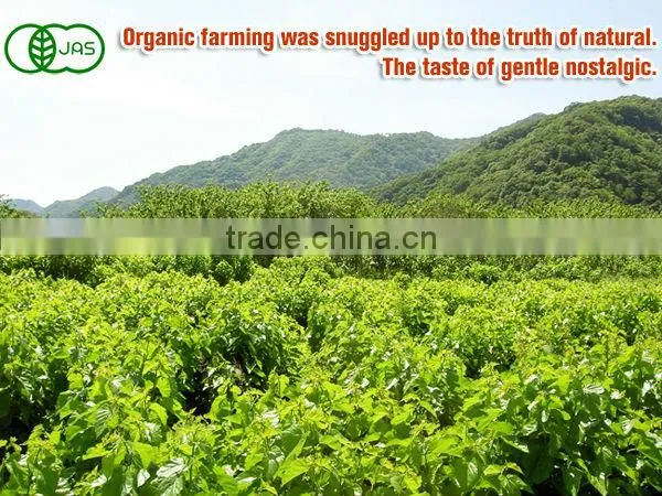 Health Organic Tea Drink powder Mulberry Green Juice wholesale organic juice powder made in Japan