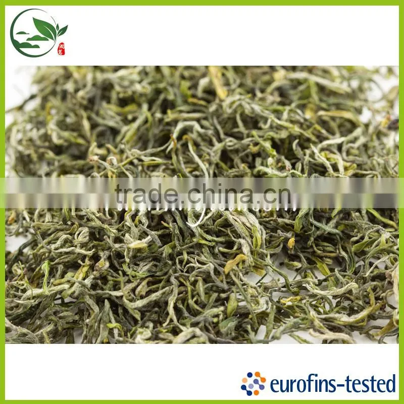 Zhejiang Maofeng Green Tea Wholesale Slim Green Tea