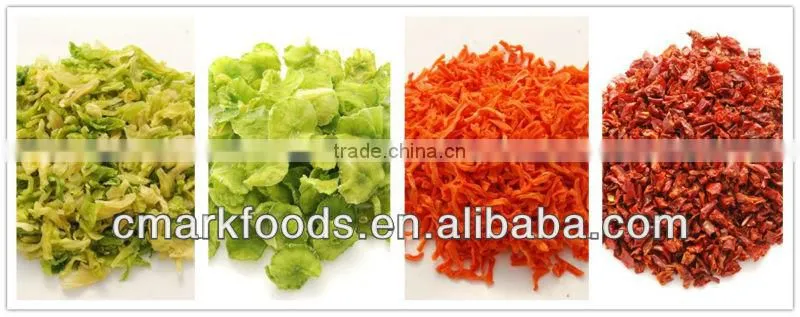 Dehydrated Carrot products-dehydrated carrot strips