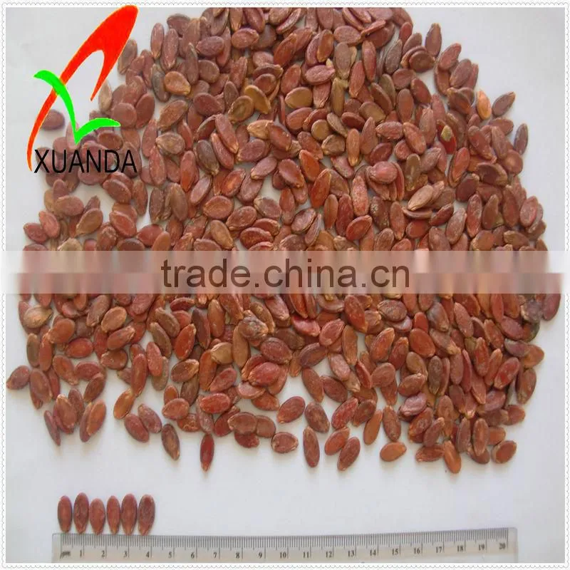 red melon seeds