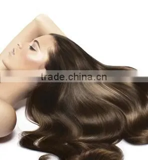 OEM Manufacturer Salon Professional Hair Dye Color Chart/Color Swatch Book
