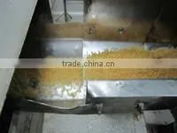 halal gelatin in powder form/halal gelatin price