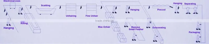 Factory price A-frame vertical chicken/boiler plucking machine hot sale /High quaility halal Poultry chicken plucker