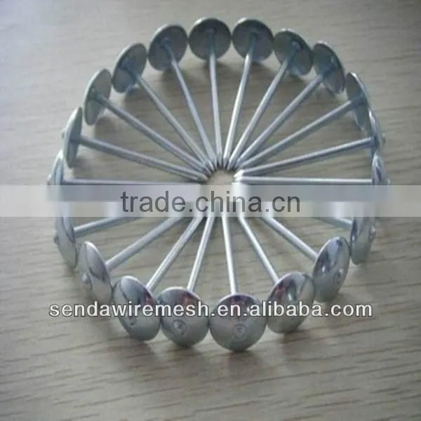 roofing nails for construction