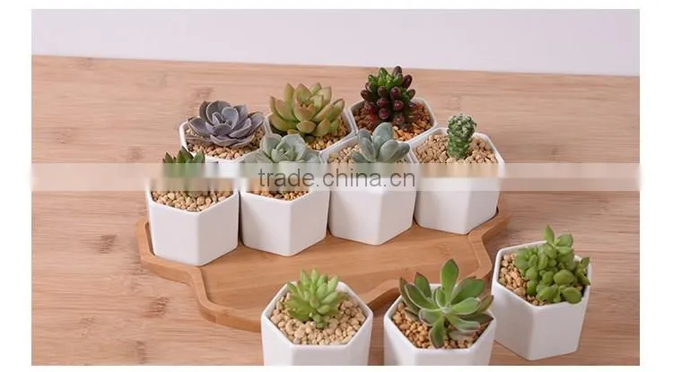 Zakka combination potted six sides indoor glazed pottery planters with bamboo tray