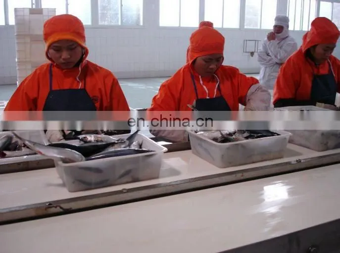 top quality fish canning machine