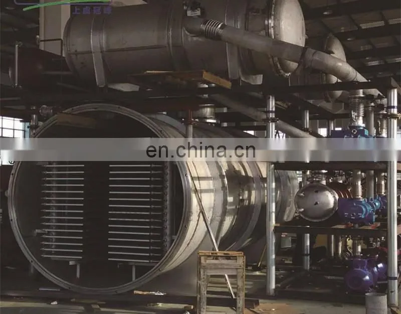 Shanghai factory spray dried instant coffee powder freeze dried instant granule drying machine processing plant production line