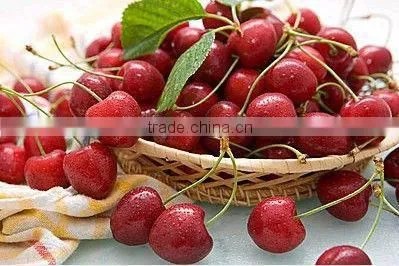 High Imitation Artifical Fruit For Decoration