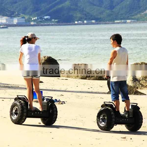 Two wheel scooter electric for sale,skate scooter