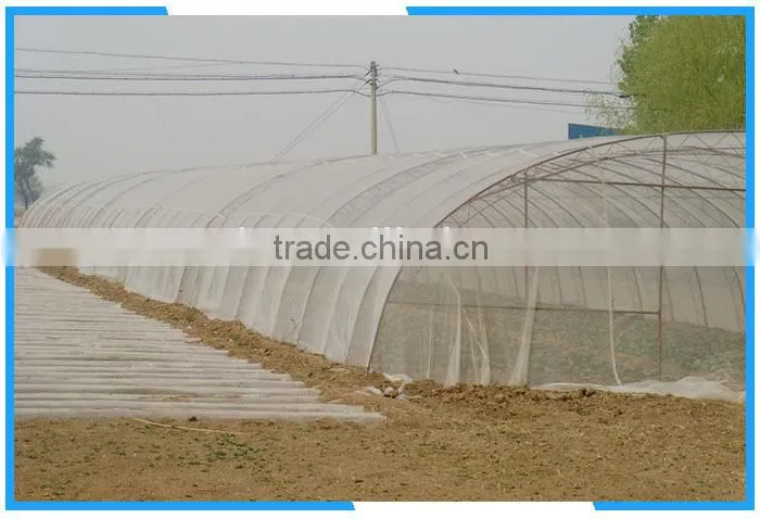 110g/m2 mesh 50anti insect net