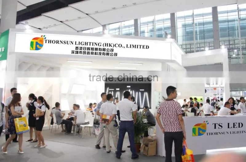 IP20 IP65 addressable flexible led strips ws2812b 60 leds/m