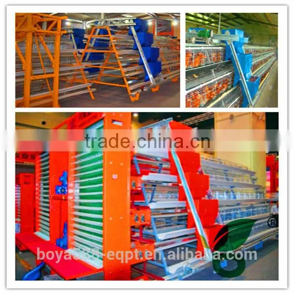 poultry farm automatic drinking system feeding system for 10000 chickens