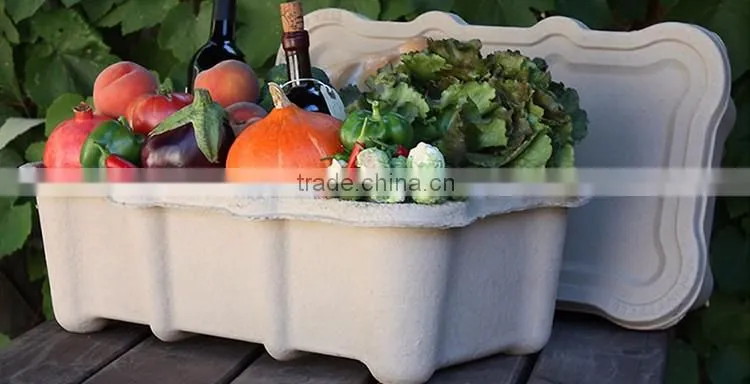 Environmental protection paper pulp box manufacturer