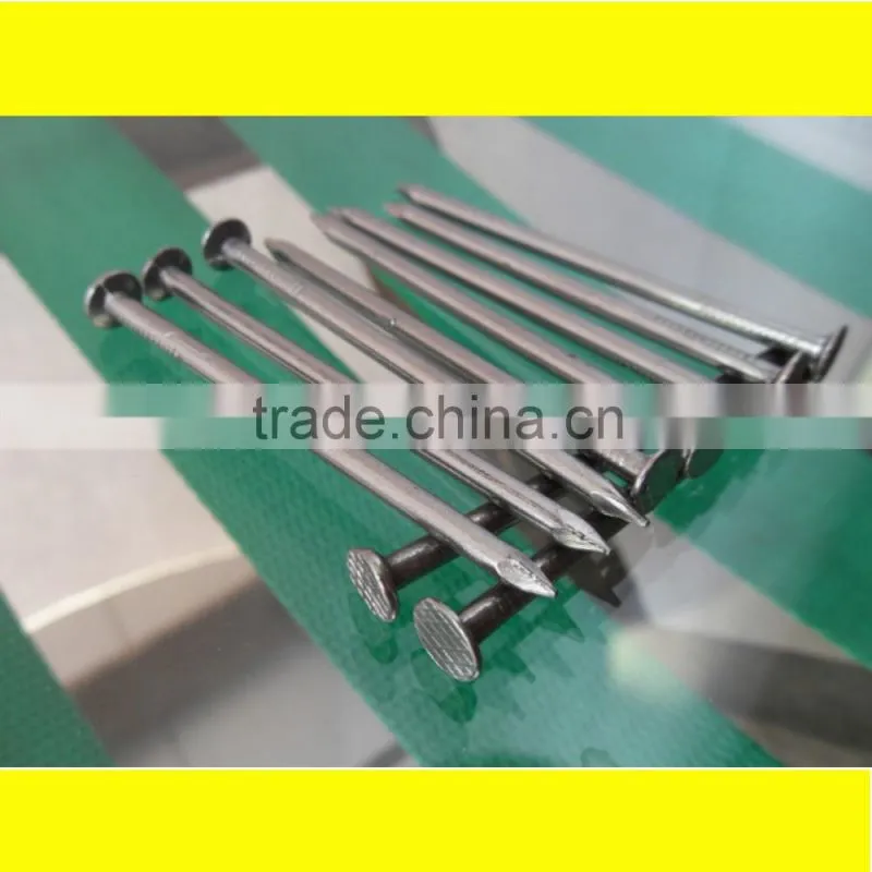 iron common nails made stainless steel nail wholesale concrete nails shipping in tianjin