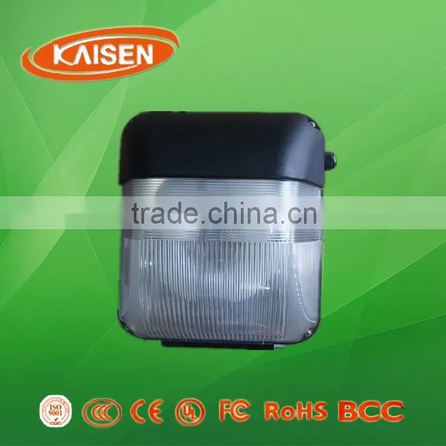 2015 40w jiangsu professional lighting lvd induction lamp wall light
