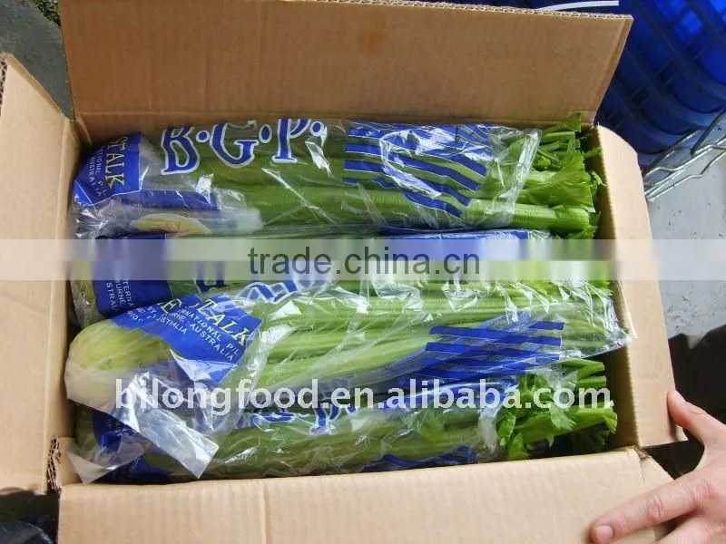 fresh mix vegetable from all china around