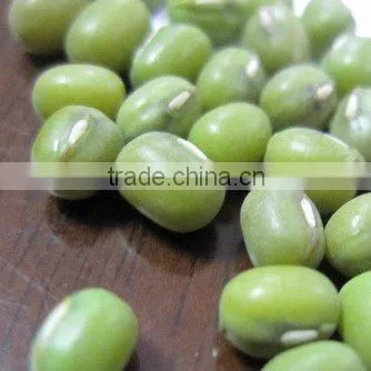 Green Mung bean beans 2010