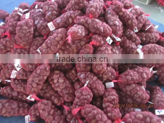 price chestnuts of 2013